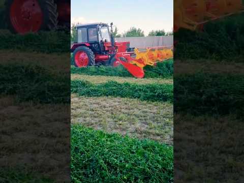 Shunaqa jatka yasaydiganlar bormi? #жатка