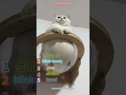 This is so funny, l couldn't stop laughing#funny#shorts#youtube#youtubeshorts
