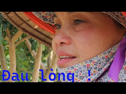 Đau lòng ! Trong 1 đêm mất tất cả - Suýt mất m.ạng vì bảo vệ tài sản của người Chồng quá cố