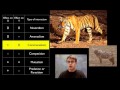 Interactions in Ecosystems: Exploring Populations and Their Relationships