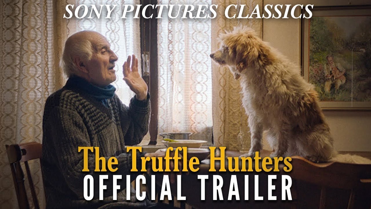 The Truffle Hunters Trailer thumbnail