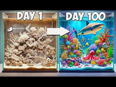 Simulating a Tide Pool for 100 Days