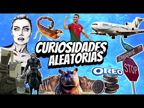 CURIOSIDADES ALEATÓRIAS QUE VOCÊ NÃO SABIA 🤔😱 #1