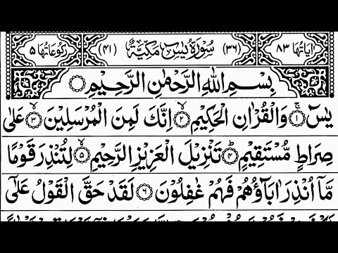 Surah Yaseen | Yasin | Episode 650 | Daily Quran Tilawat Surah Yasin Surah Rahman Surah yasin yaseen