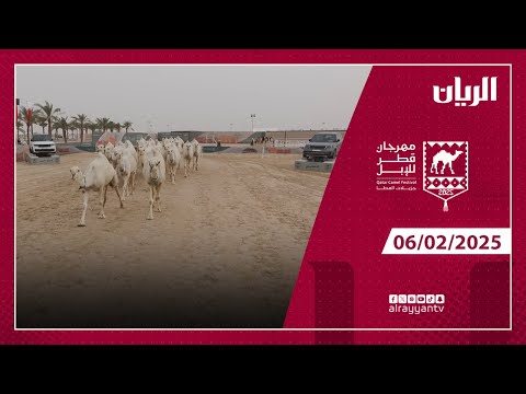 مهرجان قطر للإبل - جزيلات العطا - 06-02-2025