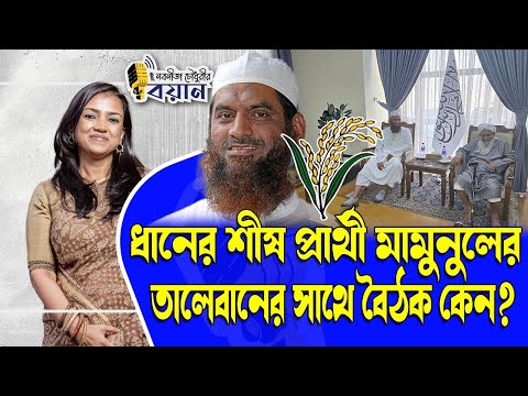 ধানের শীষ প্রার্থী মামুনুলের সাথে তালেবানের বৈঠক কেন? ।। Nobonita Chowdhury
