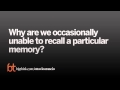 Understanding Neurological Processes and Memory