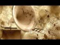 Understanding Key Concepts from the Video Tutorial