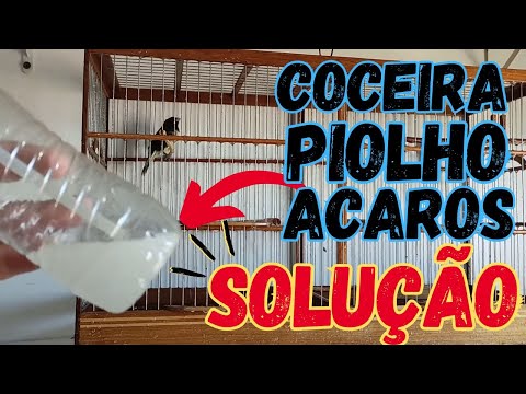 PIOLHO E ÁCAROS DE PENAS SOLUÇÃO IMEDIATA PRO PLANTEL