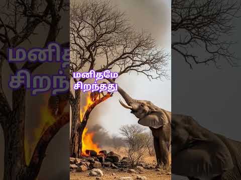 பிறருக்கு உதவுங்கள் 🙏