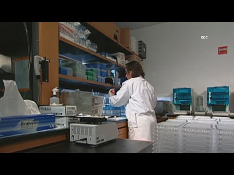 YouTube video thumbnail: Maine Research Groups Rewrite Grant Proposals, Shift Priorities to Align With Federal Guidelines