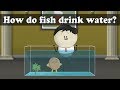 Understanding Osmosis in Fish