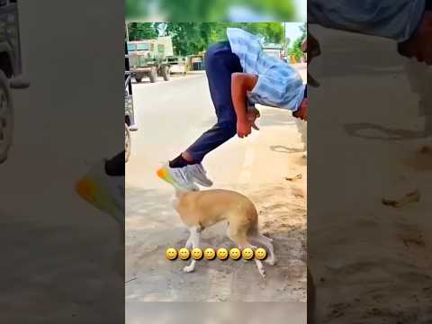 Мортал Комбат 🤣 #shorts #шортс