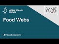 Understanding Food Webs and Chains