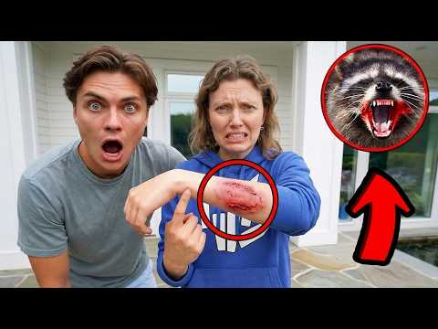 A Vicious Raccoon ATTACKED My Sister!