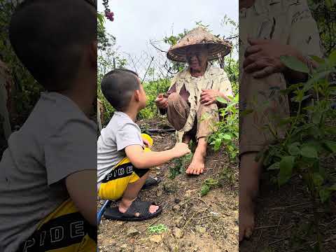 🟥 Bà Bị Thương, Cháu Nhỏ Ra Tay Như Bác Sĩ Khiến Ai Cũng Bất Ngờ!