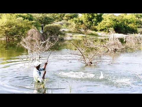 FLOAT FISHING 🎣 TECHNIQUES FOR KRISHNA RIVER BiG ROHU FISHES to Catching By SINGLE HOOK