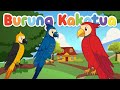 Analisis Lagu Burung Kakaktua