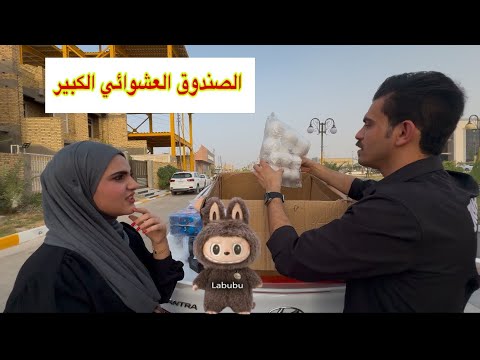 اول كارتون عشوائي يوصلني زينب طلع الها لابوبو