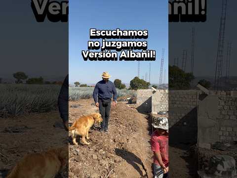Escuchamos NO juzgamos! Versión #Albañil 😂 #fyp #viral #arqutiecto #comedia #humor