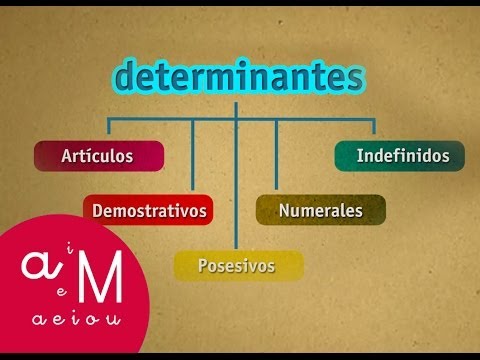 Los Determinantes - Determinantes Y Pronombres - Lengua - Educación ...