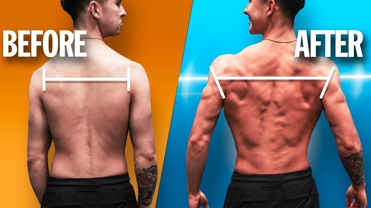 The BEST Back Workout Routine For Growth (WIDTH & THICKNESS)