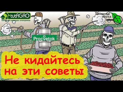 Стоп! Не кидайтесь на синтетику и химозу. Эти советы несут опасность! Забудьте об этих советах!