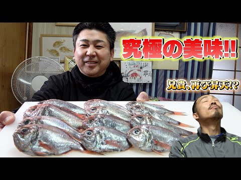 【どえりゃ〜うめ〜】美味しすぎて教えたくないお魚に出会いました！