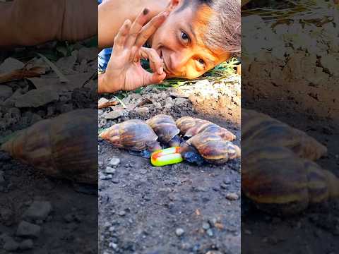 today I will start and be a part of their party 🐌 - #shortvideo #snail #bekicot