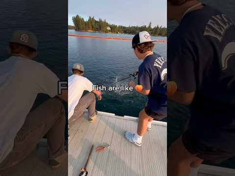 The bigger the better💀#viral #fishing #shortvideos #viralvideos #shortsviral #shorts #fyp