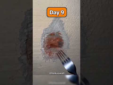 Каждый подписчик = 1 царапина на стене 😳 Чем всё закончилось#shorts