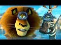 Understanding the Video Transcript