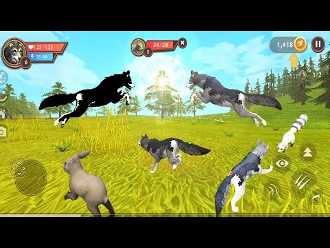 3d animal games online