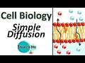 Simple Diffusion and Membrane Transport