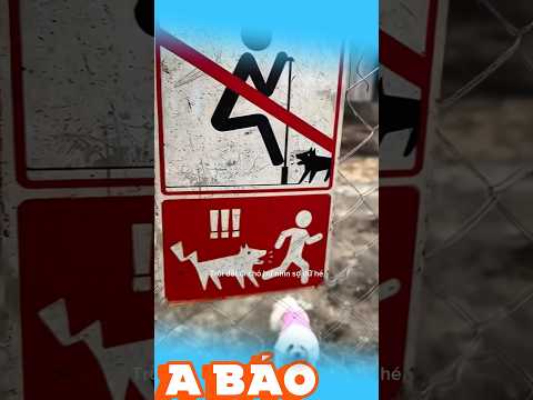 Chưa thấy quang tài chưa đổ lệ phải không 😱 #clipvui #shortvideo #giaitri #pets #xuhuongtiktok