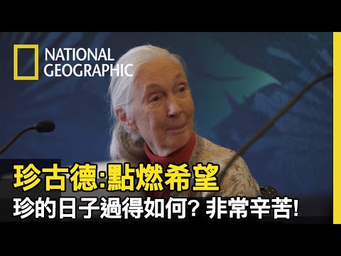 她是珍古德，愛地球的想法已深植她心【珍古德: 點燃希望】 - YouTube(5:59)