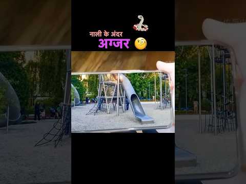 नाली के अंदर  अजगर #shorts