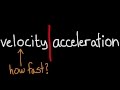 Understanding Velocity and Acceleration in Bungee Jumping