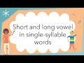 Exploring Short and Long Vowel Sounds in Single Syllable Words