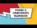 Understanding Prime and Composite Numbers