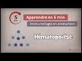 Stem Cells and Their Functions