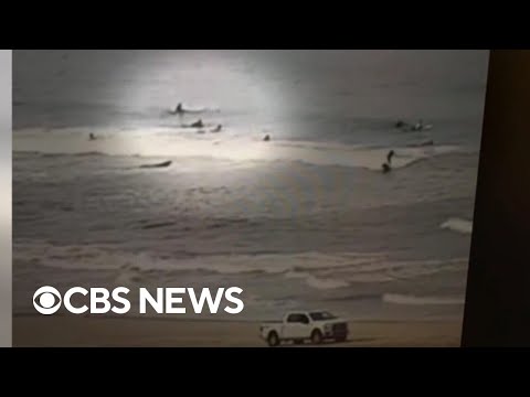 YouTube video thumbnail: Shark Headbutts Florida Surfer