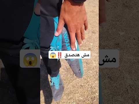 اعرف الحقيقة وبلاش حد يضحك عليك⚠️😨#shorts #football #footballshorts #كرة_القدم #فارس_ابوديب