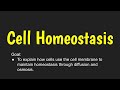 Cell Membrane Structure and Function
