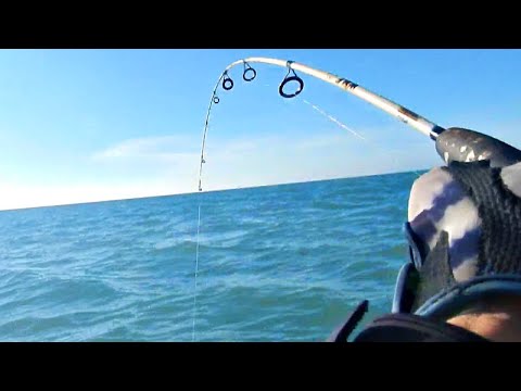 TRES PIQUES SEGUIDOS ME CAMBIARON EL DÍA DE PESCA