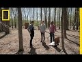 Tree Climbing Techniques and Insights