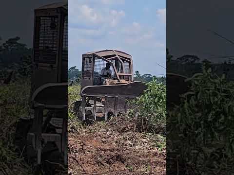 Trator De Esteira FiatAllis FD9 Trabalhando #dozer #tratordeesteira
