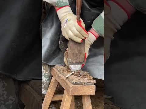 Great hoof trimming video, extremely comfortable丨ASMR丨Donkey hoof cutting sound