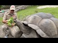 Tortoises and Their Habitats
