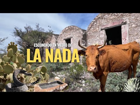 "MIRANDO PASAR EL TIEMPO AUN SE CONSERVA ESTE LUGAR, QUE EN SU MOMENTO LE DIO TRABAJO A MUCHA GENTE"